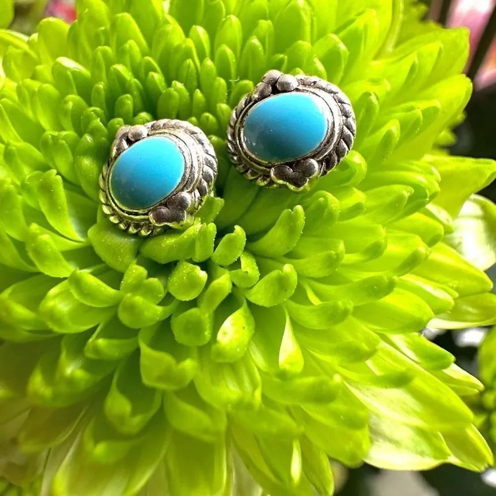 Silver tone blue post earrings